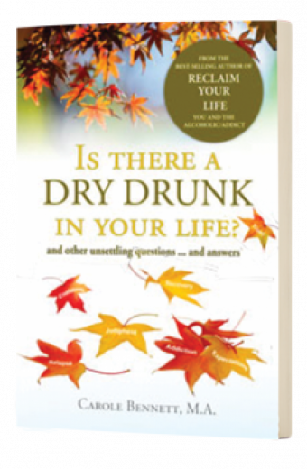 Is There a Dry Drunk in Your Life? Ebook